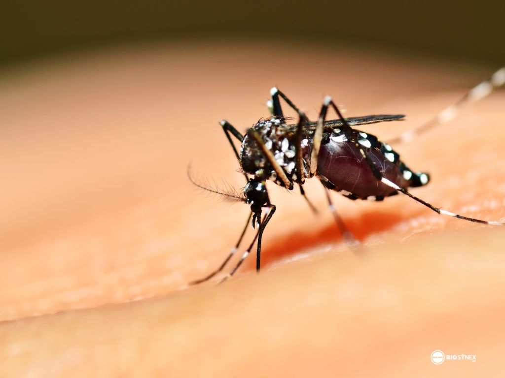 Holiday Protection Against Mosquitoes and Ticks: How to Help Keep Your Family Protected Naturally